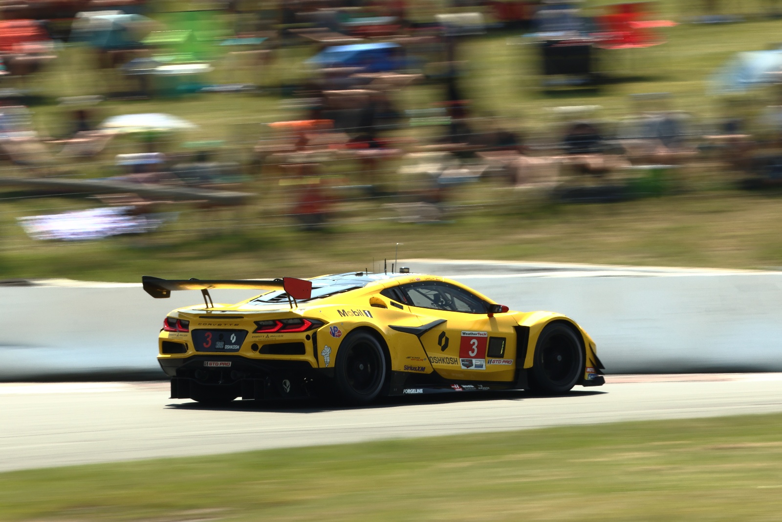 C8 Z06 GT3 R - Pratt Miller - CTMP IMSA 2024